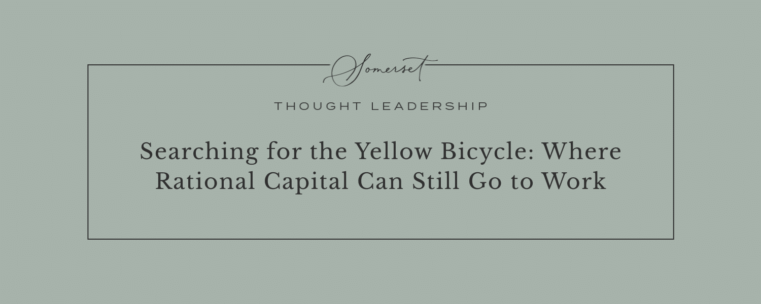 Searching for the Yellow Bicycle: Where Rational Capital Can Still Go to Work