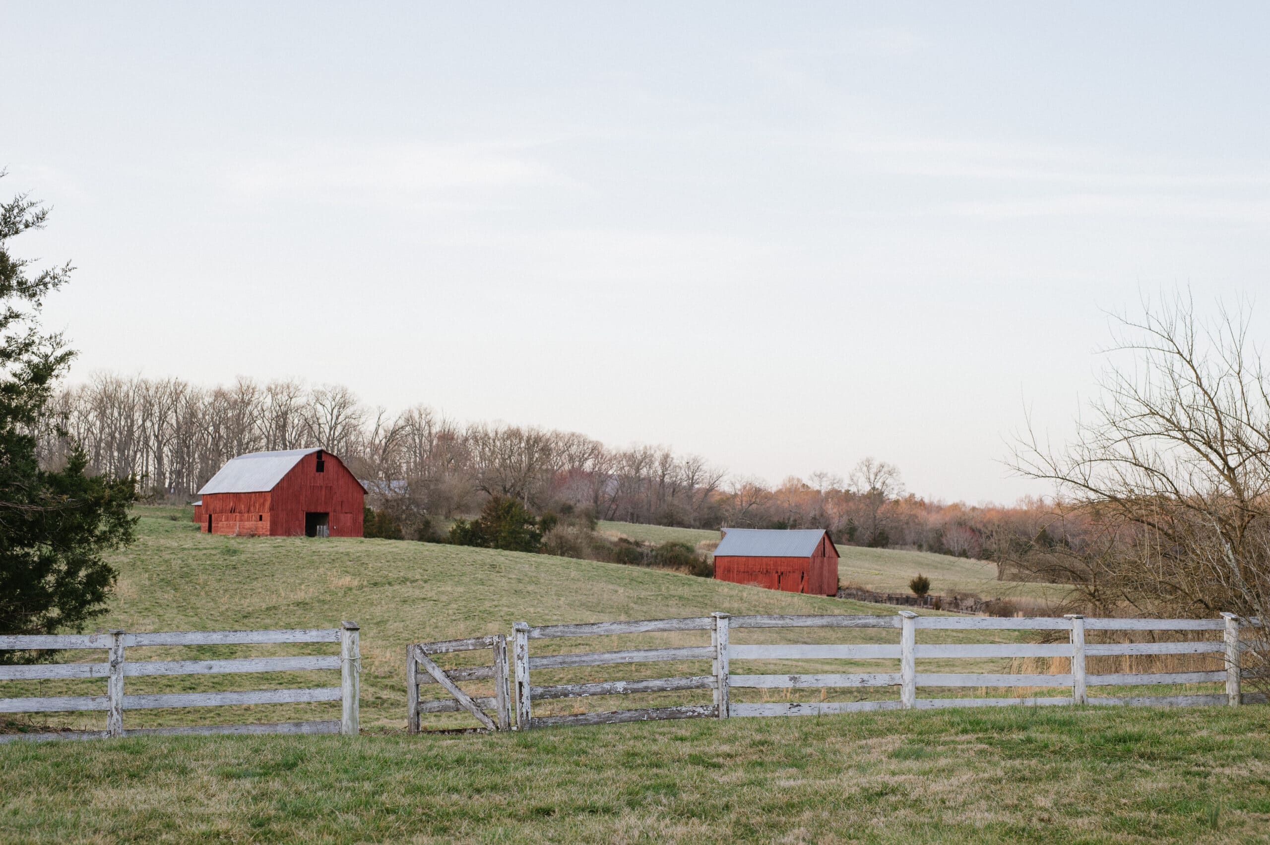 Complex Tax and Business Planning for Entrepreneurs